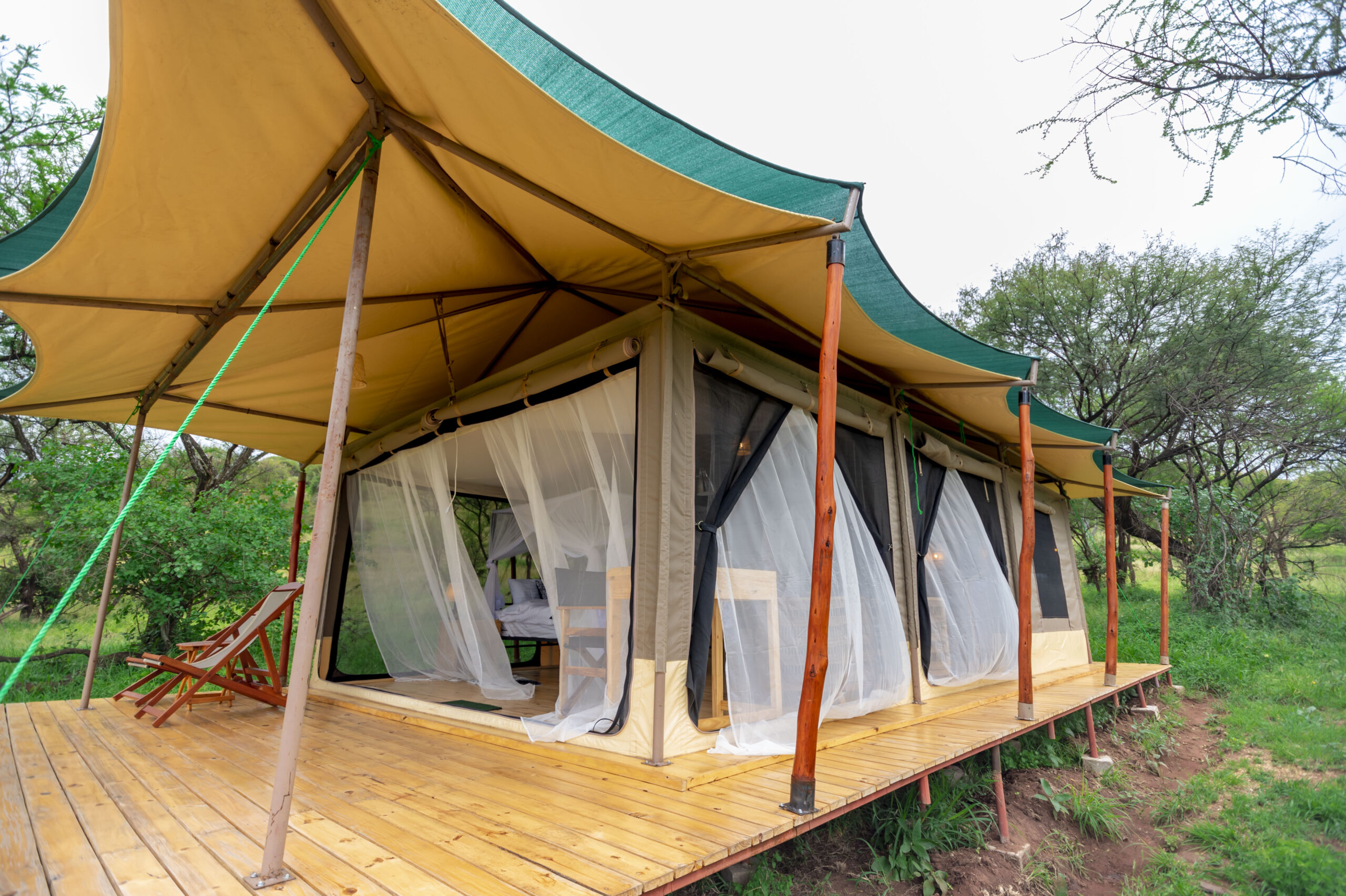 4 Days Tanzania Mid-Range Safari