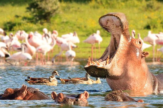 What to Pack for Your Tanzania Safari: Complete Checklist