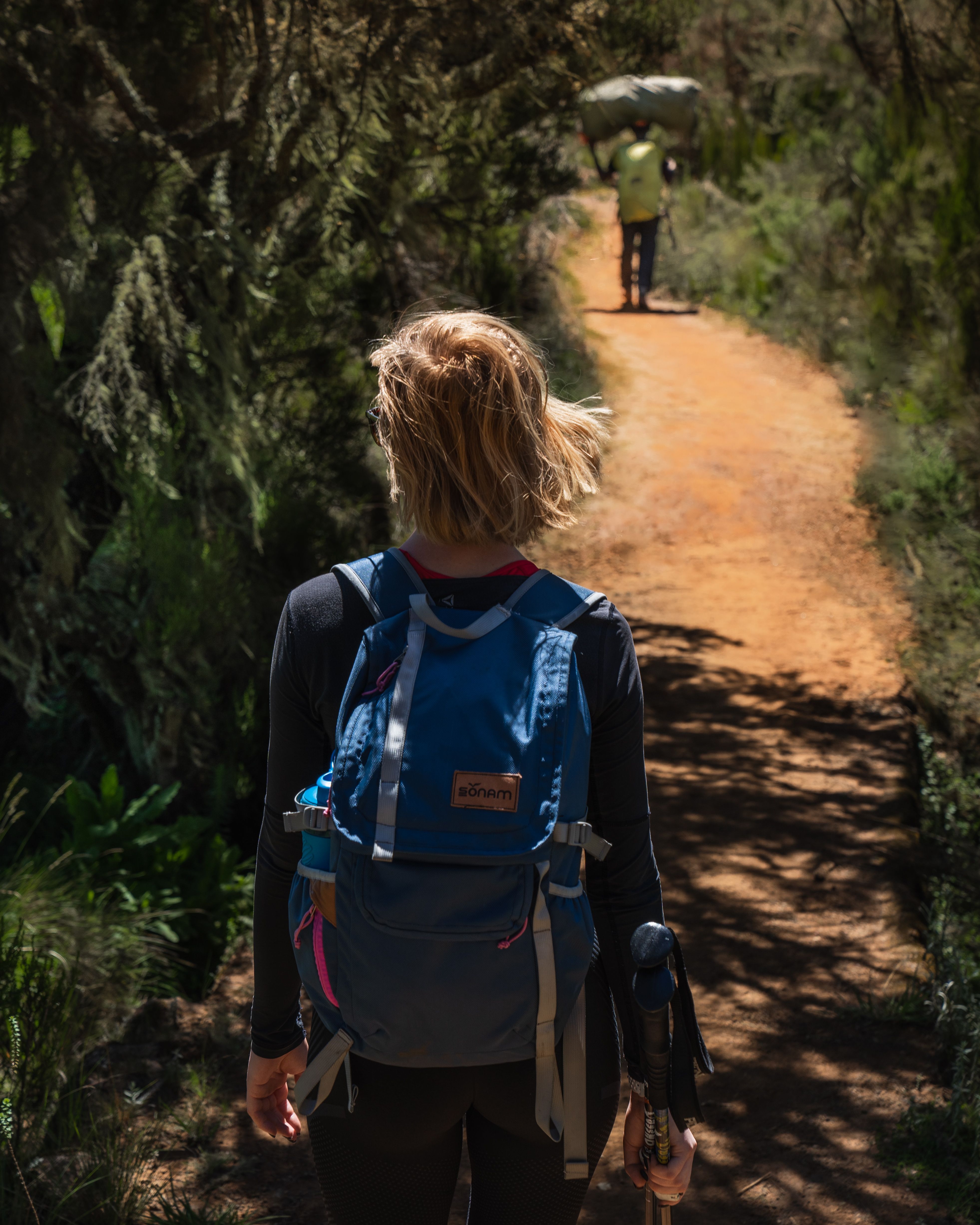 7 Days Rongai Route Kilimanjaro
