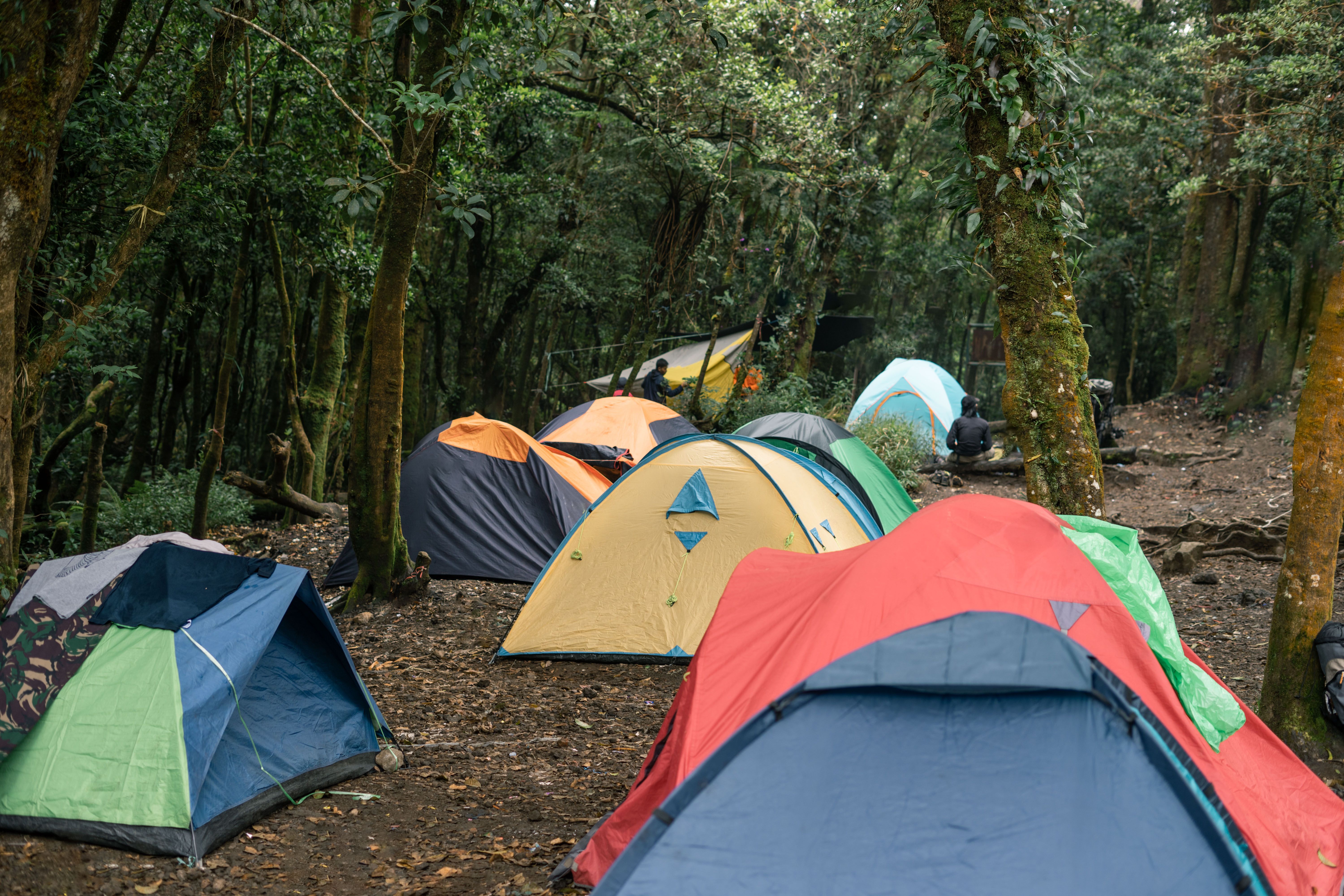 7 Days Lemosho Route Kilimanjaro