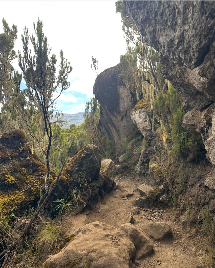 The Ultimate Guide to Climbing Kilimanjaro in 2025