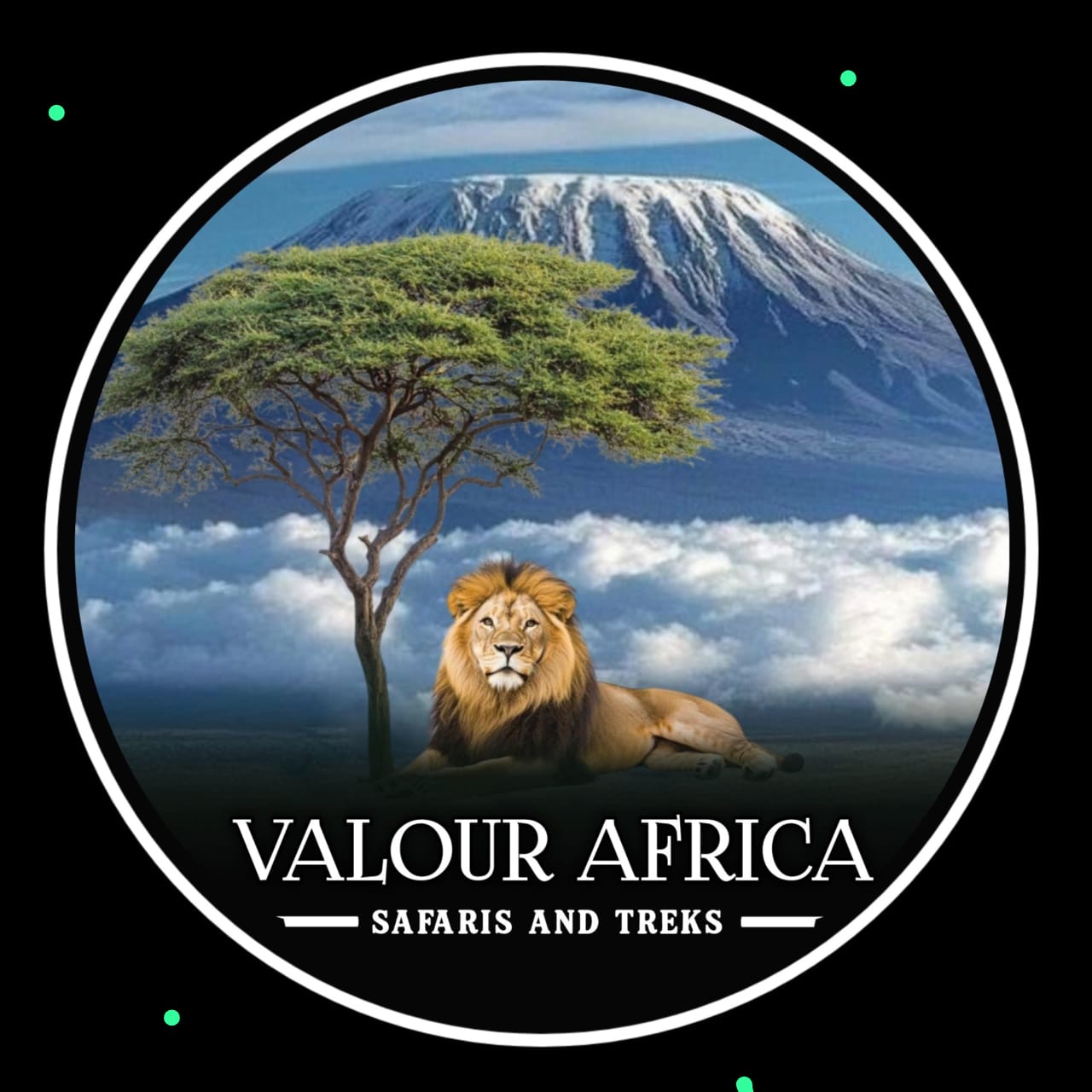 Valour Africa Safaris & Treks